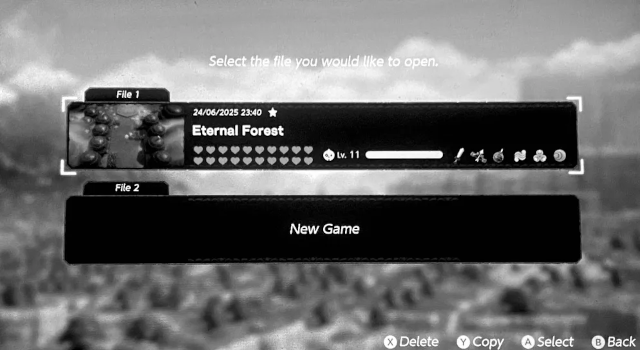 Echoes of Wisdom file select